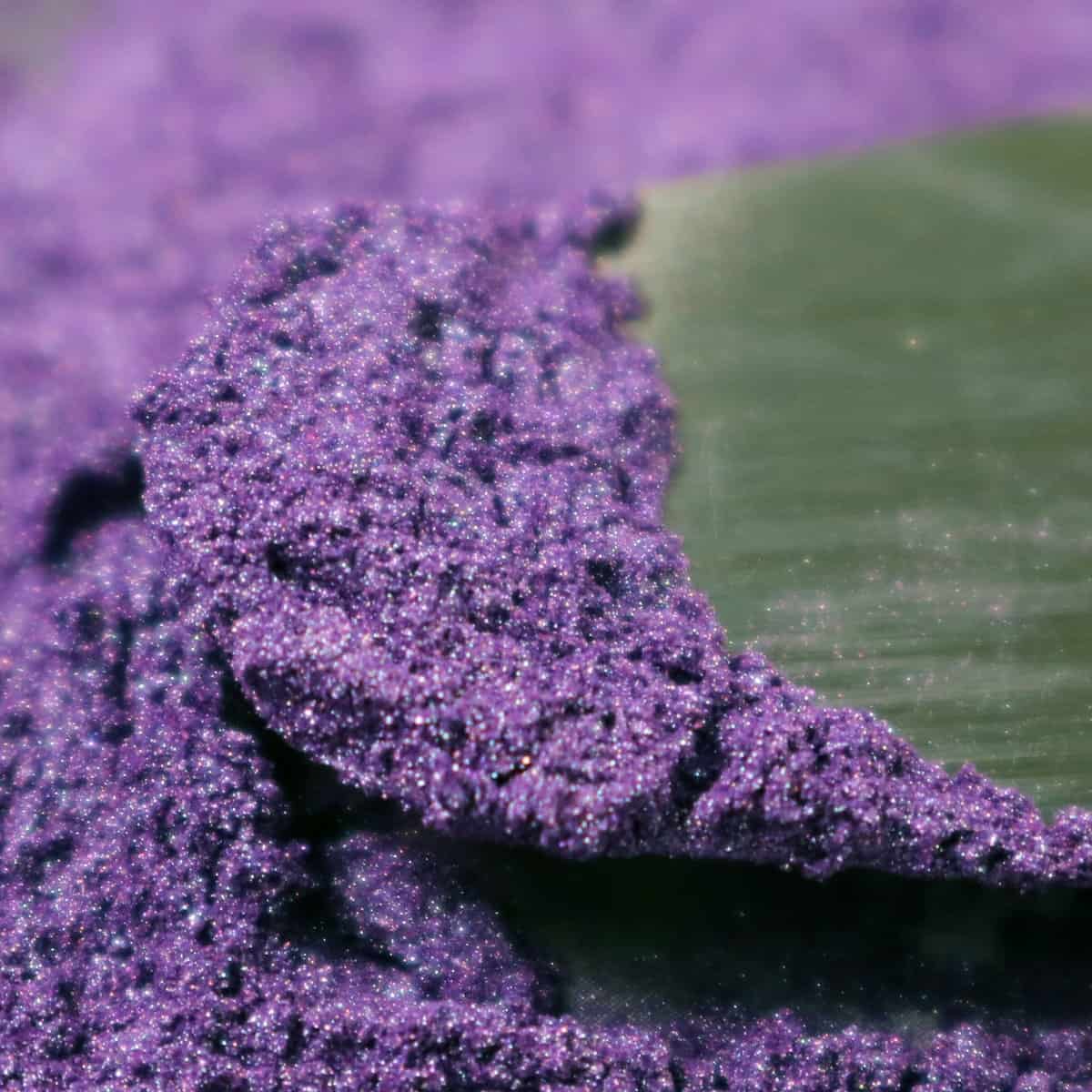 Plum Purply - Image 4